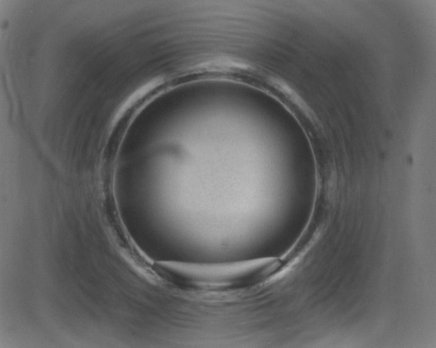 X0000081341026200701111419