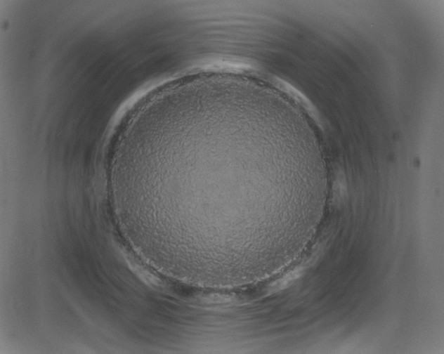 X0000081341027200701111419