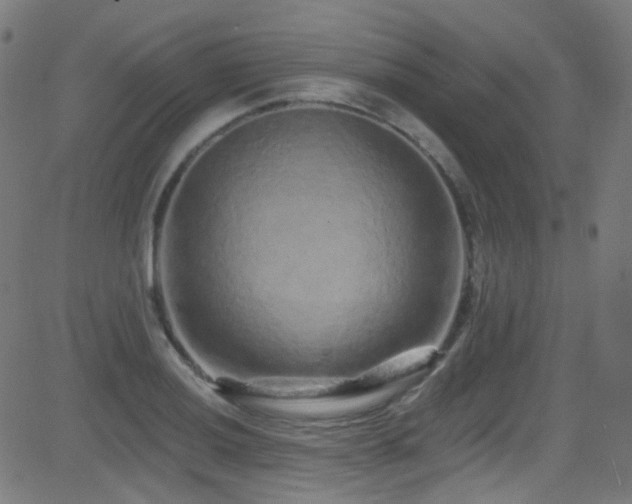 X0000081341036200701111419