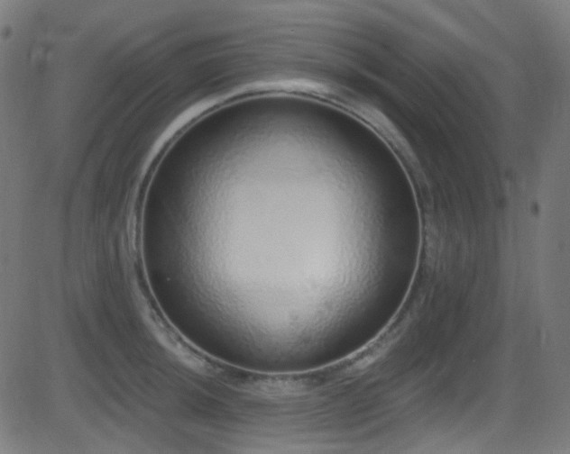 X0000081341044200701111419