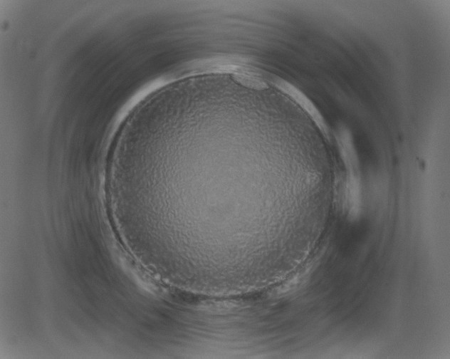 X0000081341051200701111419