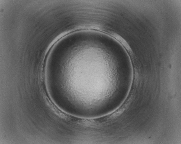 X0000081341052200701111419