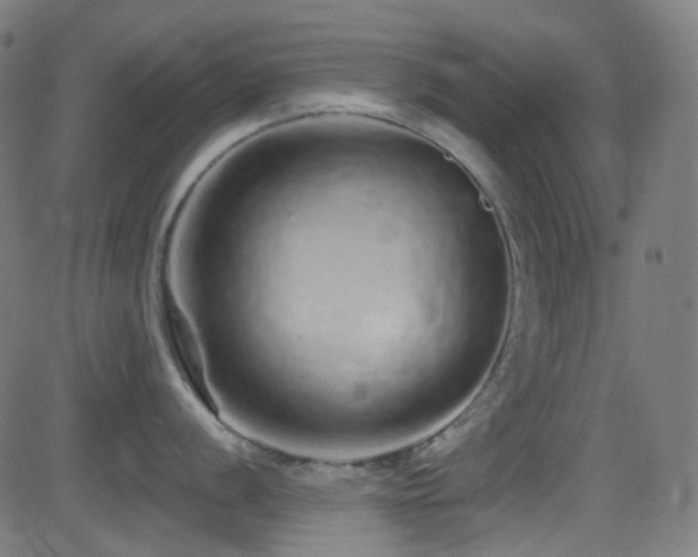 X0000081341056200701111419
