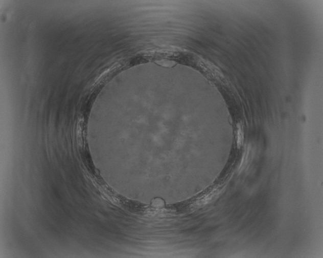 X0000081341059200701111418