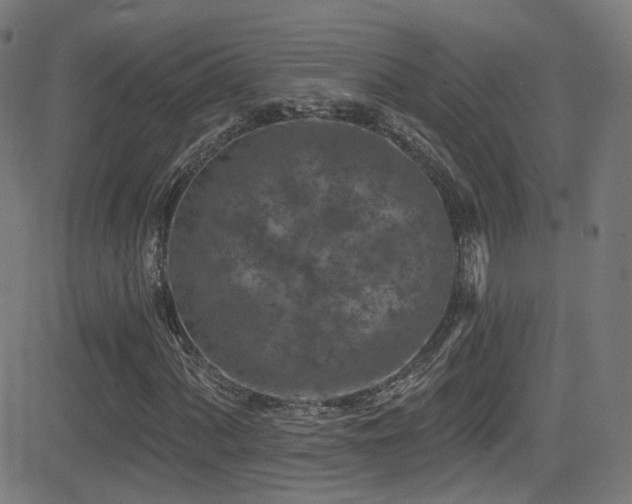 X0000081341060200701111418