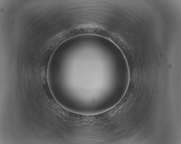 X0000081341062200701111418