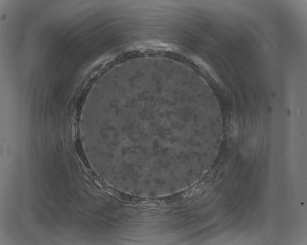 X0000081341063200701111418
