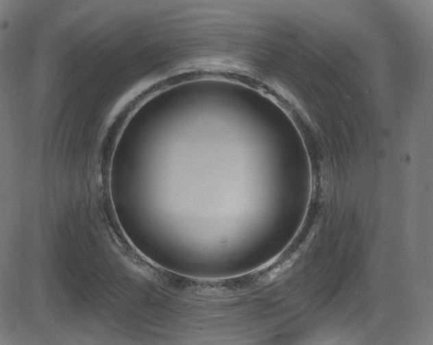 X0000081341070200701111418