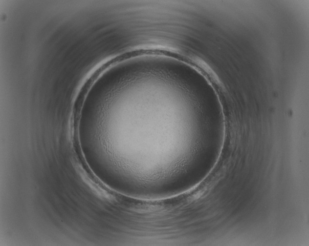 X0000081341076200701111418