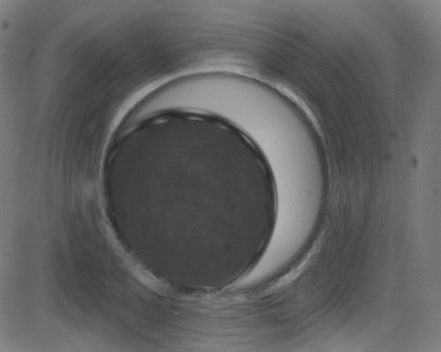 X0000081341077200701111418