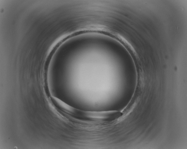 X0000081341085200701111418