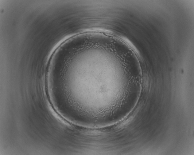 X0000081341100200701111418