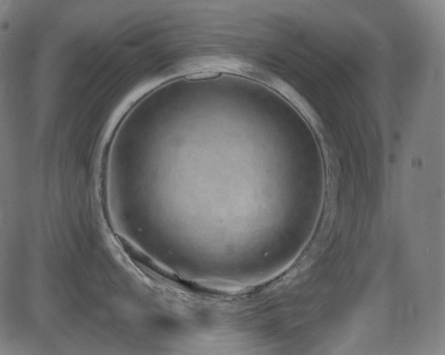 X0000081341104200701111418