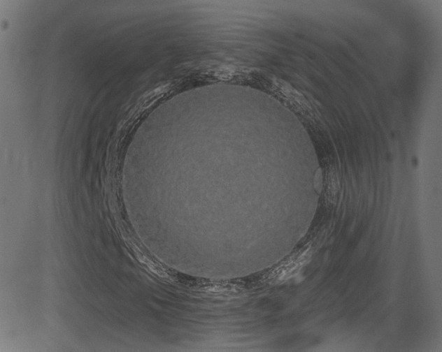 X0000081341105200701111417
