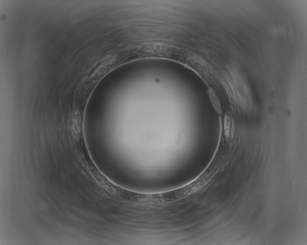 X0000081341107200701111417