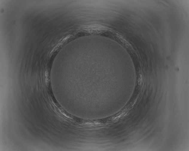 X0000081341108200701111417