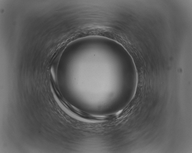 X0000081341109200701111417