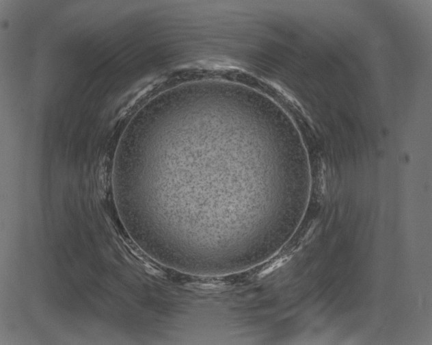 X0000081341110200701111417