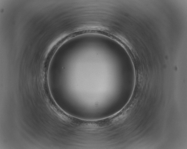 X0000081341119200701111417