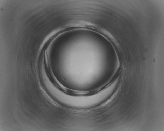 X0000081341122200701111417