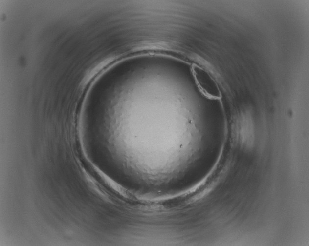 X0000081341129200701111417