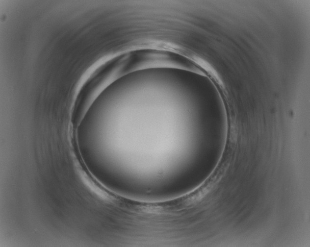 X0000081341136200701111417
