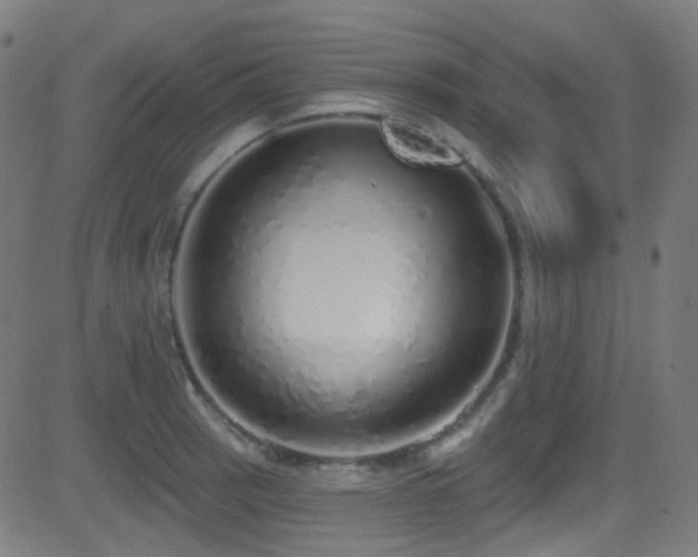 X0000081341137200701111417