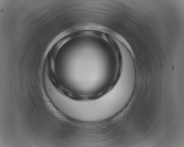 X0000081341138200701111417
