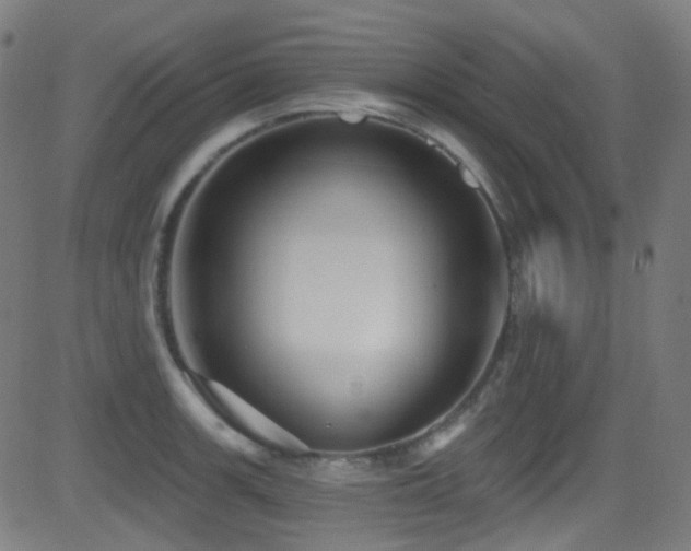 X0000081341139200701111417