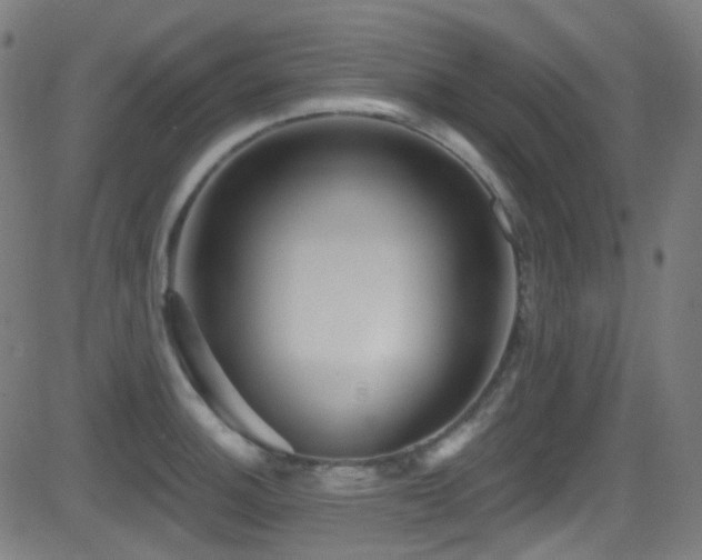 X0000081341140200701111417