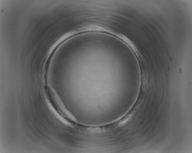 X0000081341142200701111417