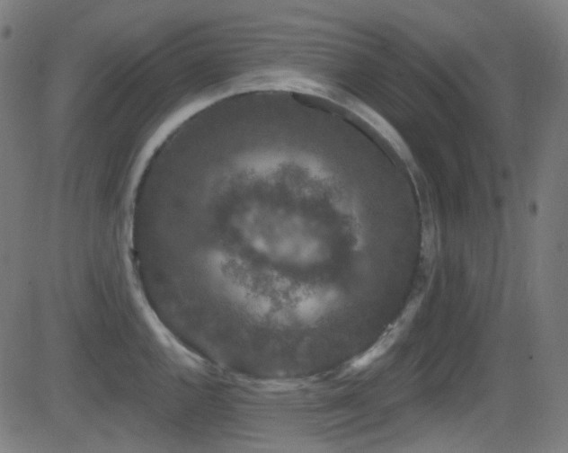 X0000081341144200701111417
