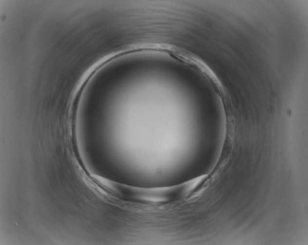 X0000081341148200701111418