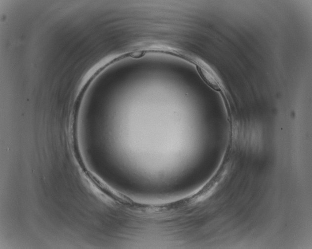 X0000081341149200701111418