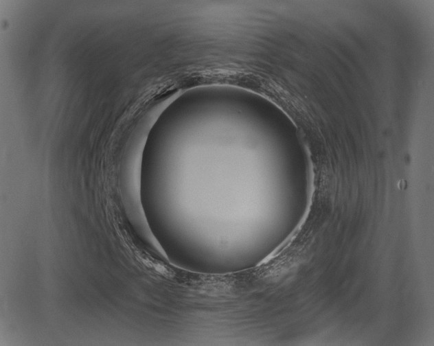 X0000081341153200701111417
