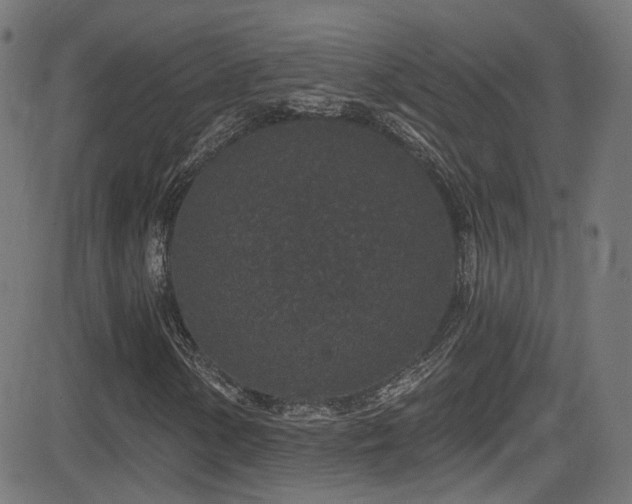 X0000081341154200701111417