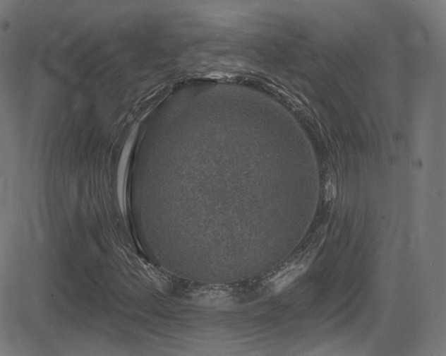X0000081341156200701111417