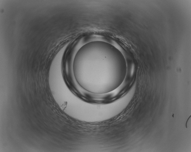 X0000081341157200701111417