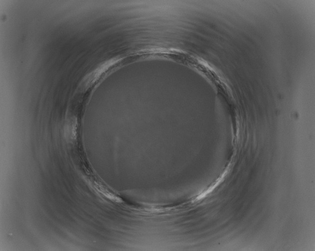 X0000081341161200701111417