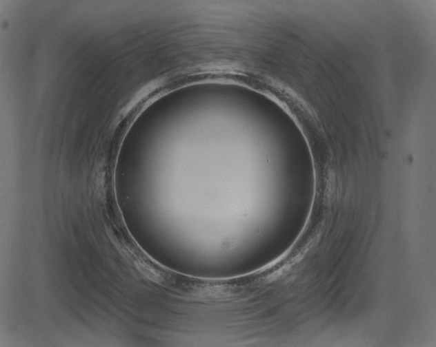 X0000081341162200701111417