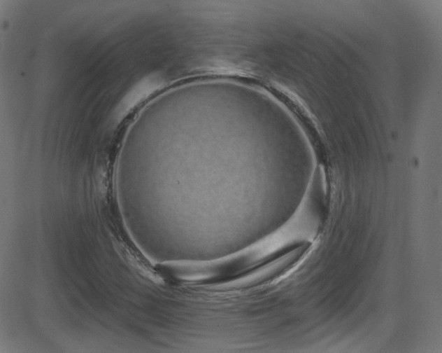 X0000081341163200701111417