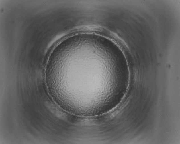 X0000081341166200701111417
