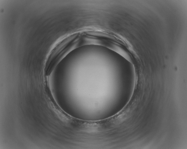X0000081341168200701111417