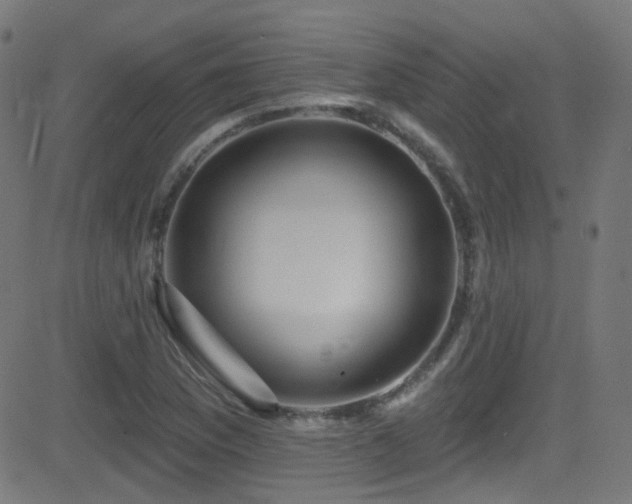 X0000081341169200701111417
