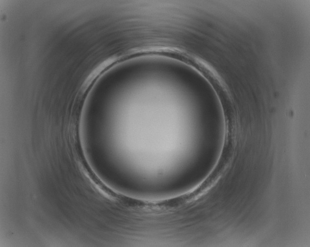 X0000081341177200701111416