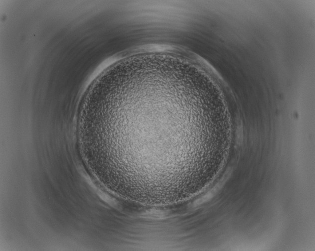 X0000081341178200701111416