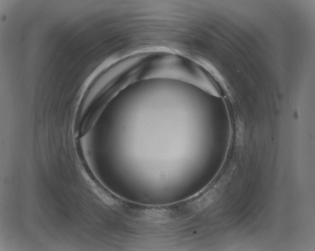 X0000081341181200701111416