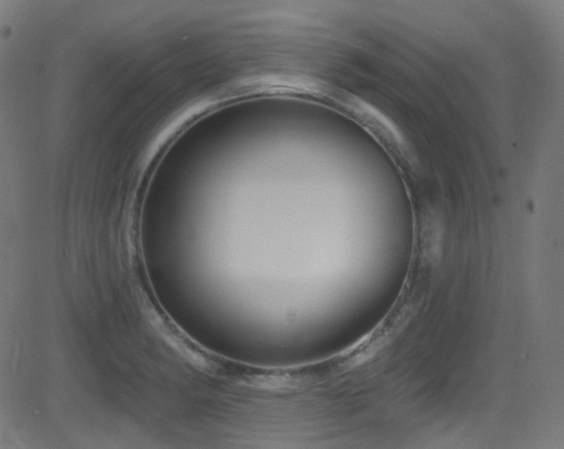 X0000081341182200701111416