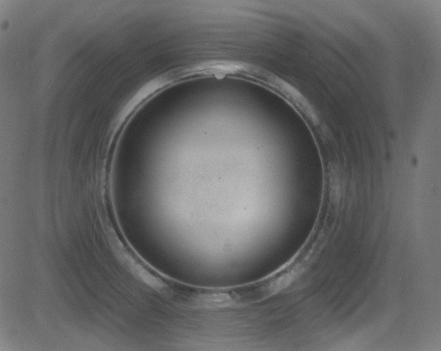 X0000081341186200701111416