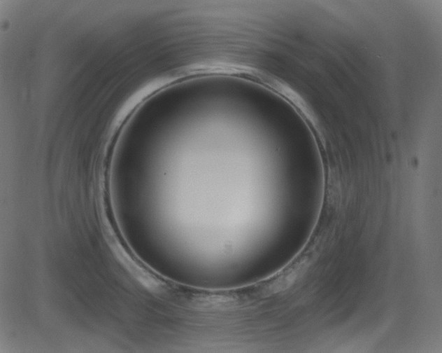 X0000081341187200701111416